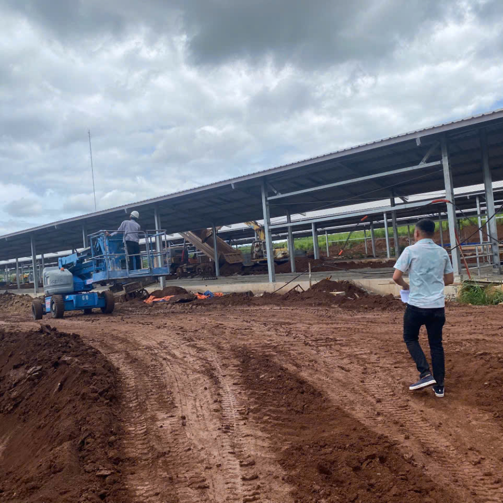 Cho Thuê Xe Nâng Tại Trang Trại Dalat Milk Farm – Lâm Đồng