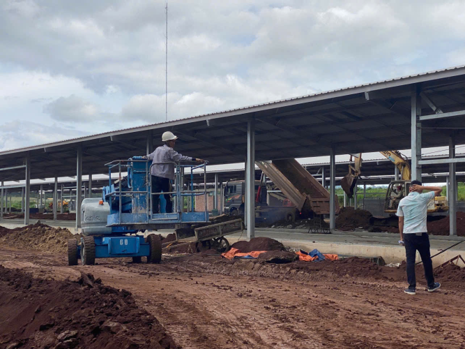 Cho Thuê Xe Nâng Tại Trang Trại Dalat Milk Farm – Lâm Đồng