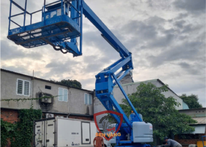 Giá Cho Thuê Xe Nâng Ở Miền Nam